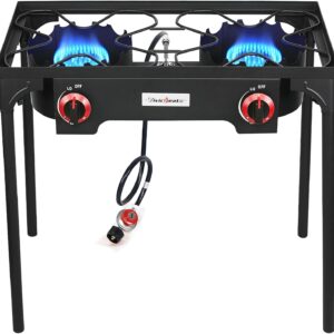 Vivicreate Propane Gas 20 PSIG high pressure regulator outdoor camping camp garden BBQ grill stove burner